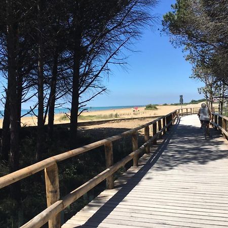 Appartamenti Sirio Via Pesci 6,8,14 Bibione Exterior foto